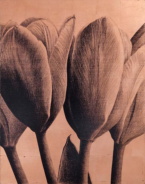 <p>Tulipe 13. 51 x 40 cm</p>