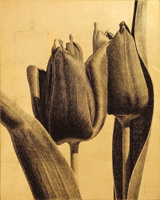 <p>Tulipe 17. 50,5 x 40,5 cm Collection particulière</p>