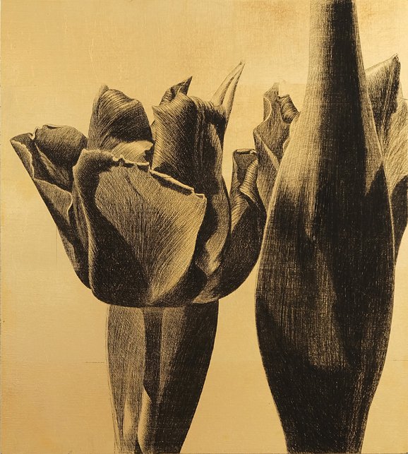 <p>Tulipe 18. 50,5 x 45,5 cm Collection particulière</p>