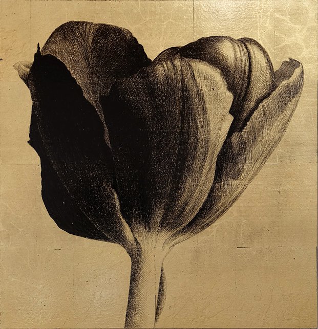 <p>Tulipe 2. 40 x 38,5 cm Collection particulière</p>