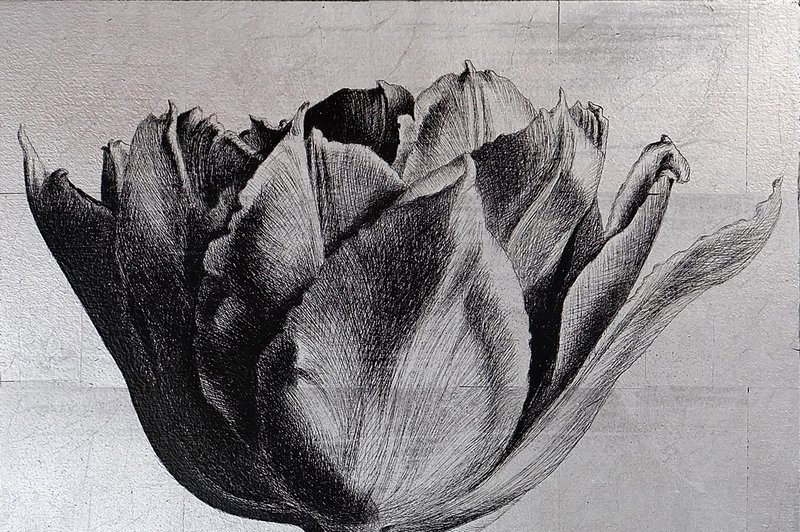 <p>Tulipe 4 détail</p>