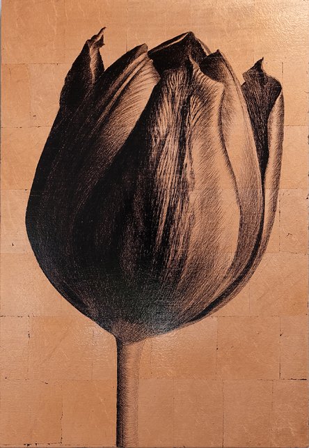 <p>Tulipe 5. 49 x 34 cm Collection particulière</p>