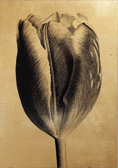 <p>Tulipe 6. 49 x 34,5 cm Collection particulière</p>