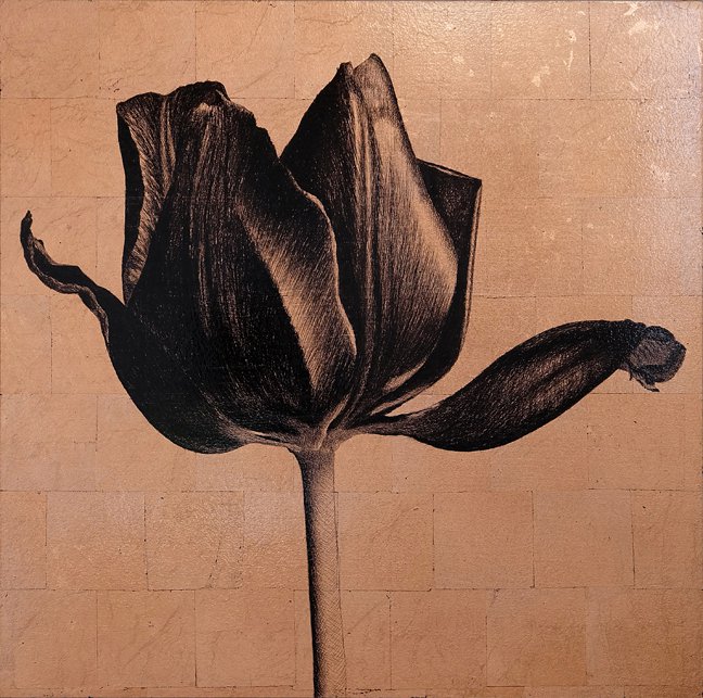 <p>Tulipe 8. 50 x 50 cm Collection particulière</p>