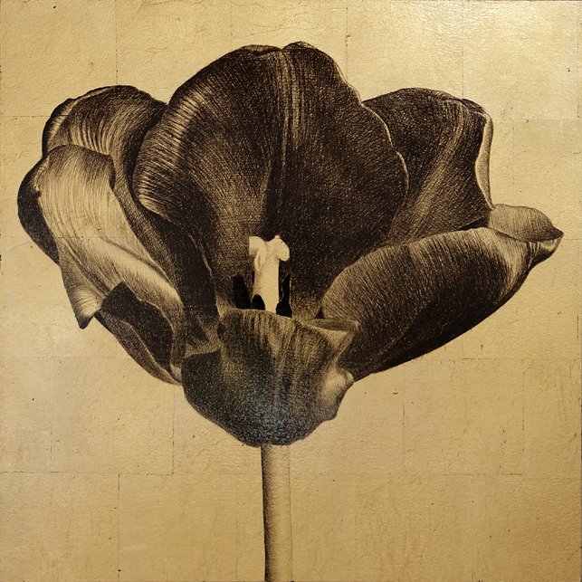 <p>Tulipe 9. 50 x 50 cm Collection particulière</p>